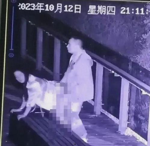 男女做爰视频免费网站,免费观看的激情瞬间