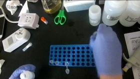 微生物实验操作视频,实操步骤与技巧解析