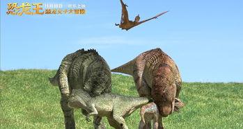 翼龙的视频,揭秘空中霸主之壮丽篇章