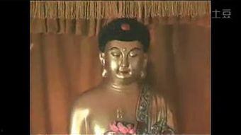 最新往生视频,探寻生死轮回的奥秘